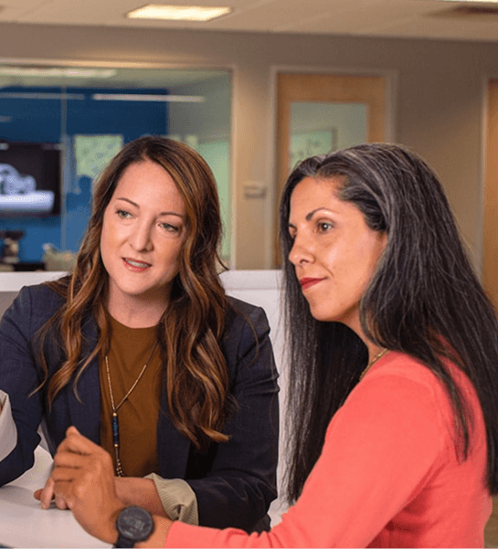 Professional Software Development Services